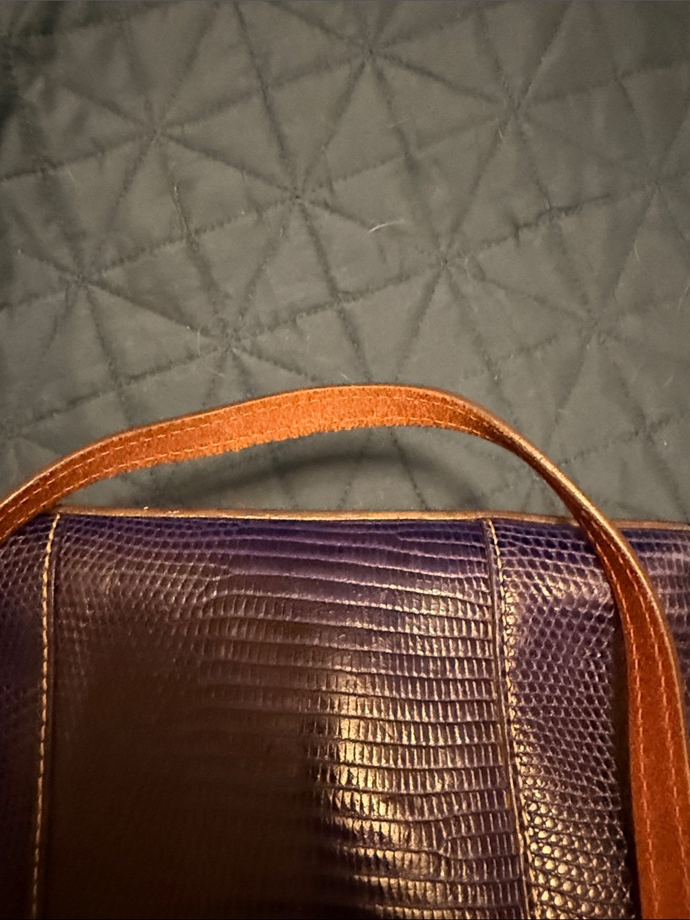 Dooney & Bourke blue Lizard-Embossed Tote with Brown Straps - Picture 9 of 14